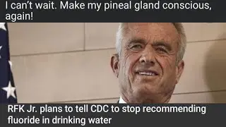 r/insanepeoplefacebook Top Posts Of All Time 