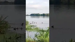 #охота и #рыбалка