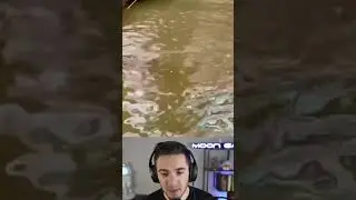 How Has This Not Been Addressed?!