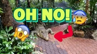 Thailand Zoo! (