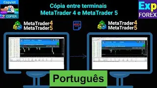 Português. COPYLOT. Copiadora para MetaTrader 4/5