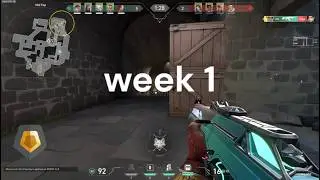 iron to immortal, week 1