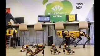 Boston Dynamics Spot Dance with Bittle  | PetoiCamp