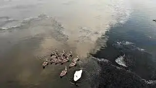 30 августа 2024 г.