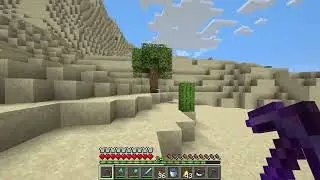 Deserts can have Trees - Minecraft 1.21