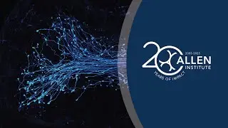 20 Years of Allen Impact