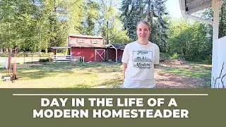 Day in the Life of a Modern Homesteader