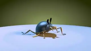 Cinema 4D animation (2).