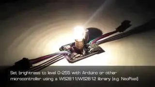 Individually Addressable Incandescent Lamps