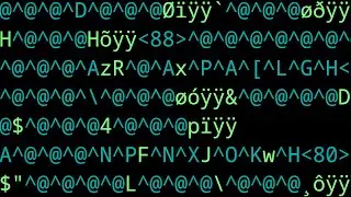 This Will Break Your Terminal. Why?