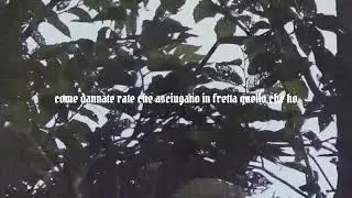 Loomy - Oceano (Lyrics video)