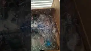 Blu-ray не в мою коллекцию. Показывать?