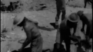 Desert Victory (1943)