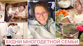 🤩СБЫЛАСЬ МЕЧТА МУЖА❤️ФОТО С ФОТОССЕСИИ🥘ГОТОВИМ🐝УБИРАЕМ
