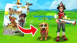 Wizard101: *NEW* PET TRAINER BUNDLE!