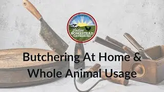 Butchering At Home & Whole Animal Usage