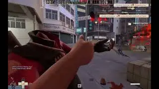 bots and brown bears (TF2)