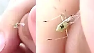 Weird And Unbelievable Things Are Happening Around The World