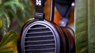 Hifiman Arya Organic Review - The Best Arya?