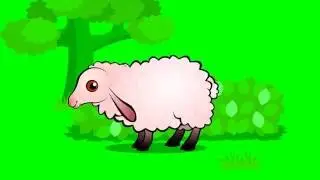 Doodle Baby - The Sheep