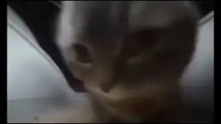 Тест битрейта