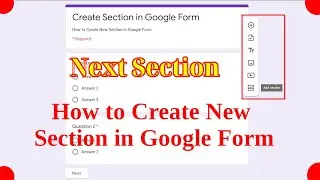 How to Create New Section in Google Form | Google Form Training