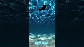 Eyes blue like the Atlantic