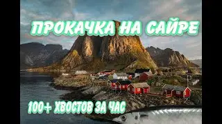 РР4 | ПРОКАЧКА ПРОЦЕНТОВ | Трофей сайры | 100+ хвостов за час | НОРВЕЖСКОЕ МОРЕ
