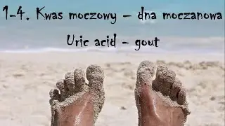 1-4. Uric acid - gout ENG SUBTITLES