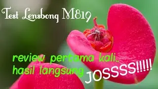 LENSBONG MAKRO CLOSE UP UNTUK PONSEL