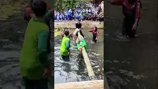 Kemeriahan Lomba 17an dalam Rangka HUT ke 79 Republik Indonesia di Plaza Poltekkes Bengkulu