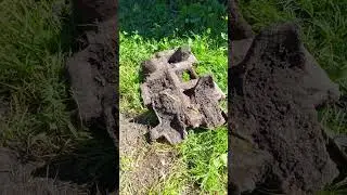 Охенеть не встать! Это с какого монстра?