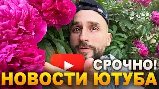 Вывод денег с YouTube (Райффайзен сказал Adsene пока). Разбор каналов