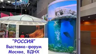 "Россия" Выставка форум на ВДНХ. Гибкий Led экран. Visual System (гнутый, видеоэкран, экран)