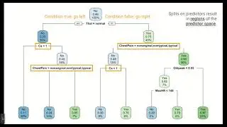Decision Trees