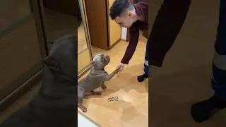 ❤️❤️❤️