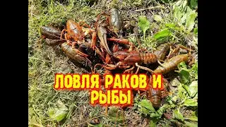 Отдых на озере. Ловля раков и рыбы