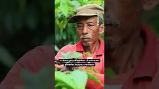 Kahvenin bilinmeyen piyasası ☕