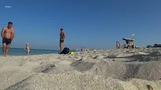 Дикий пляж, Шарджа ОАЭ