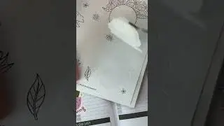 Self Care Plan with Me!