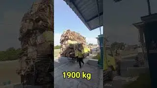 Akhirnya Dijual,Koleksi Kardus 2 tahun