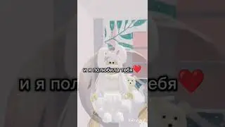 ❤❤❤❤❤