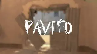 pavito