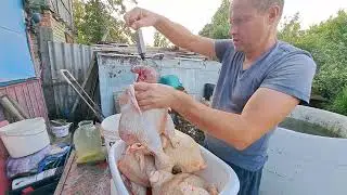 КУПИЛИ кур ПО 70 РУБЛЕЙ за кило😳 САМИ в ШОКЕ как ДЕШЕВО получилось😱