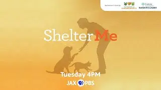 Shelter Me Tuesdays 4pm on Jax PBS