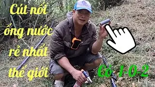 Cut noi ong nuoc re
