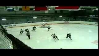 Весенний кубок: Финал. Динамо - Северсталь (+ Закрытие)