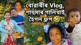 বোৱাৰীৰ ব্লগ শাহুমাৰ গালিখাই হৈ গল ফ্লপ 🤣