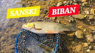 Udarila MACOLA kad se najmanje nadaš! Pecanje KLENA, rijeka Sana