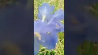 #dua #allah #islamic #islam #islamicstatus #রমজান #দোয়া #shortvideo #short #viral #tending #shorts